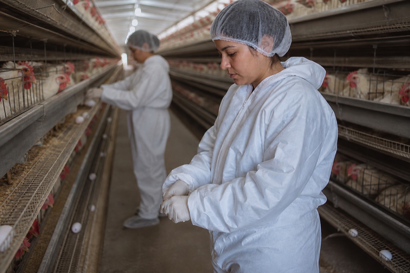 Specialized Agricultural Labor